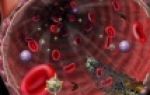 Агрегация тромбоцитов: понятие, в анализе крови, отклонения от нормы, нюансы