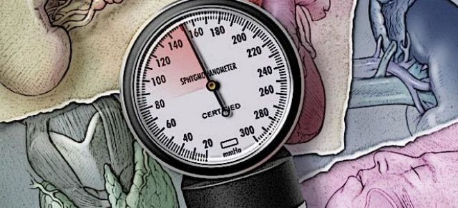 Артериальная гипертензия (гипертония): причины, признаки, лечение, чем опасна