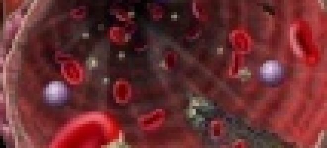 Агрегация тромбоцитов: что это такое, анализ крови, норма, отклонения