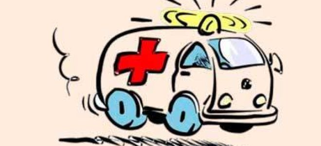 Как происходит отравление белком: признаки, лечение