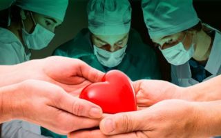 Замена клапана на сердце: жизнь после операции, стоимость и реабилитация