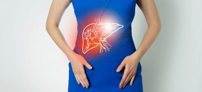 Гамма глутамилтрансфераза (ГГТ) повышена: что это значит, причины, нормы по возрастам, диагностика и лечение