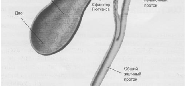 Желчегонные препараты – 9 лучших средств при застое желчи