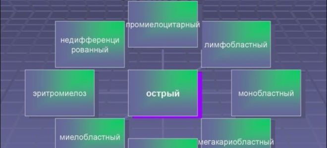 Лейкоз (лейкемия): виды, признаки, прогнозы, лечение, причины возникновения
