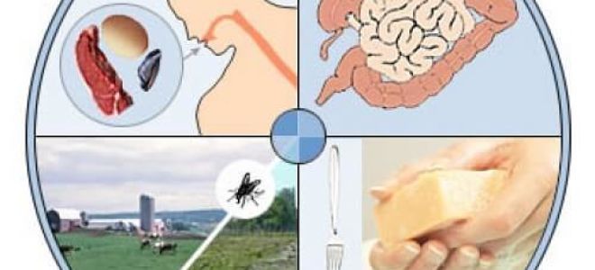 Гастроэнтерит у взрослых: классификация и причины заболевания, осложнения и прогноз для пациента, методы лечения в домашних условиях