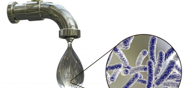 Как передается возбудитель дизентерии: основные пути заражения