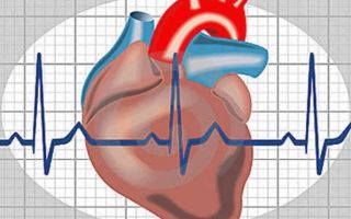 Экстрасистолия сердца: что это такое, причины экстрасистол, симптомы и методы лечения