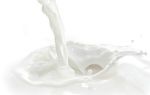 Польза и вред коровьего молока для организма: методы обработки и химический состав, рекомендации по выбору и применению