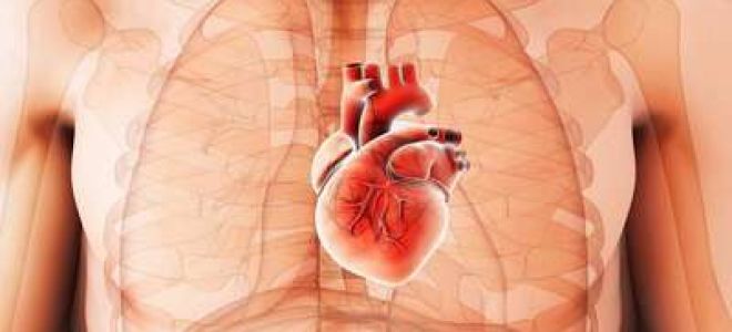 Кардиомегалия (увеличенное сердце): причины и симптомы, лечение и прогноз жизни