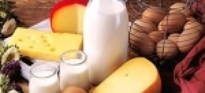 Атония кишечника: причины заболевания, симптомы и лечение препаратами и народными средствами