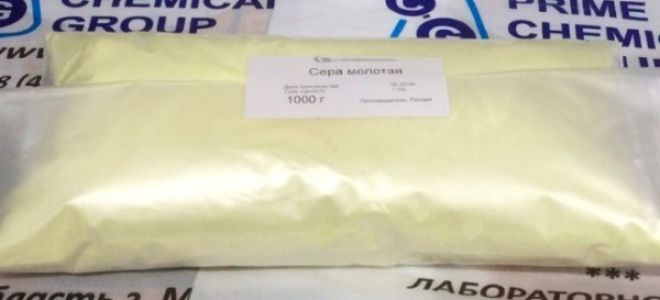 Сера: полезные свойства, инструкция по применению, в каких продуктах содержится