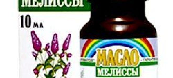 Полезные свойства и противопоказания к использованию мелиссы
