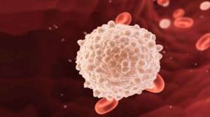 Норма лейкоцитов в крови у детей: уровень содержания, нюансы исследований, подготовка и процесс проведения анализа