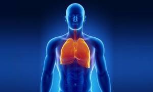 Туберкулез легких: причины недуга, разновидности болезни и характерные симптомы, методы лечения и правила питания