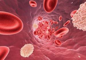 Лейкоциты в моче у женщин: пределы нормы, причины отклонений, правила подготовки к анализу