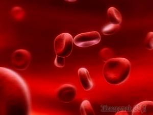 Как очистить кровь в домашних условиях