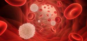 Почему лейкоциты в крови у ребенка понижены: причины нарушения, клиническая картина, особенности терапии