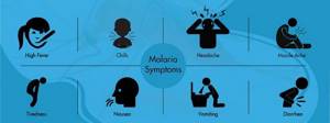 Симптомы малярии: формы и клинические признаки заболевания, обзор препаратов для лечения и профилактики заражения, методы диагностики и возможные осложнения