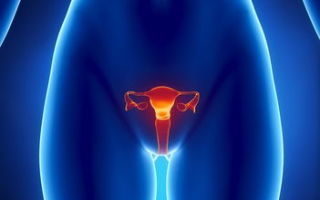 Лейкоплакия шейки матки: причины развития и разновидности заболевания, клинические проявления, методы исследования и лечения