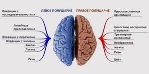 Обширный инсульт головного мозга: последствия и шансы выжить, лечение