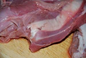 Чем можно заразиться от сырого мяса? Паразиты в свинине