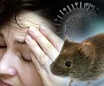 Симптомы и лечение мышиной лихорадки у мужчин и женщин