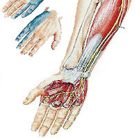 Врач об онемениях: обзор видов (пальцев, рук, ног, лица, головы) и всех причин