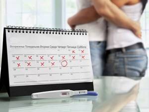 Как рассчитать день овуляции: онлайн-калькулятор, календарь и БТ