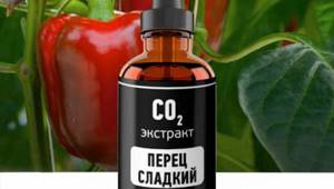 Польза и вред болгарского перца для здоровья организма