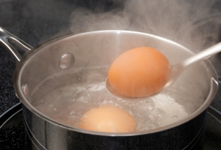 Сальмонеллез в перепелиных и куриных яйцах: как распознать