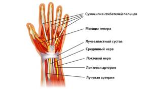 Болит большой палец на руке в суставе: список причин и методов лечения