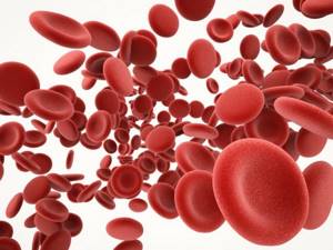 Густая кровь симптомы, причины и лечение у мужчин и женщин