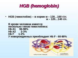 МСНС что это такое в анализе крови: содержание гемоглобина в эритроците, расшифровка, норма