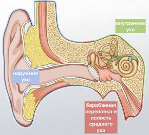 Нейросенсорная тугоухость код по МКБ-10 и сенсоневральная, кондуктивная глухонемота - хроническое снижение слуха двустороннее неуточненное