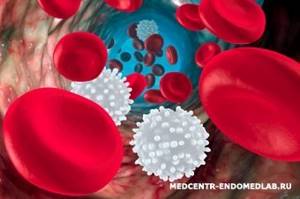 Повышенные лимфоциты в крови: что это значит, почему увеличены