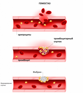 Агрегация тромбоцитов: что это такое, анализ крови, норма, отклонения