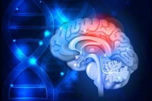 Дисфункция головного мозга — причины и симптомы сбоев в различных областях