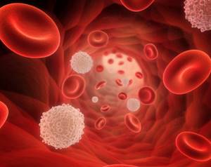 Тромбоцитопении: имунные и неимунные – развитие, течение, купирование, сопутствующие заболевания
