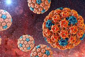 Вирус папилломы человека - что такое ВПЧ, способы заражения, диагностики и лечения