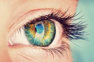 Мушки в глазах: причины, лечение, возможные последствия