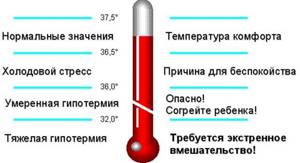 Как мерить температуру: ртутным и электронным градусником, под какой подмышкой правильно, сколько по времени, во рту, ректально, самому себе без термометра