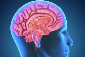 Липома межполушарной щели головного мозга, мозолистого тела, Фалькса: симптомы и лечение
