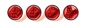 Pct в анализе крови что это такое: что значит тромбокрит выше, ниже нормы, расшифровка