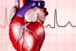 Гипертрофия левого желудочка (ГЛЖ сердца): что это, признаки на ЭКГ, симптомы и лечение