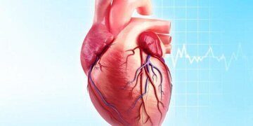 Постмиокардический кардиосклероз: механизм развития, симптомы, диагностика, как лечить, прогноз