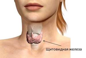 Как болит щитовидка – все симптомы, признаки боли