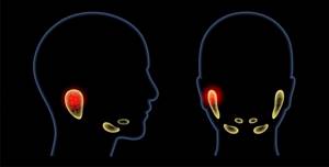 Сухость во рту ночью и днем: причины какой болезни, почему постоянная жажда и сушит язык, устранение