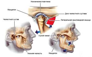 Щелкает в ухе: причины и лечение, почему трещит и щелчки, хруст и скрипит при движении челюстью при глотании, что делать, если потрескивание