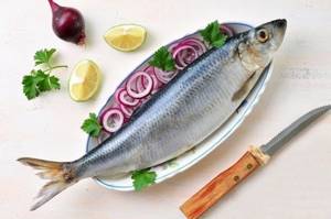 Какую рыбу можно при диабете 2 типа: разрешена ли селедка