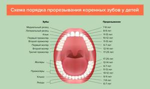 Когда лезут зубы у ребенка: с какого возраста, симптомы, как помочь ребенку и что делать